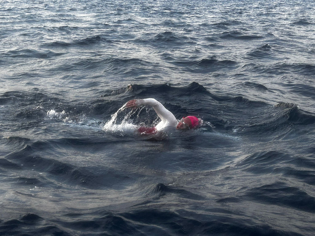 Meet Eva Buzo: Human Rights Barrister, Ocean Swimmer, and Toasty Ambassador